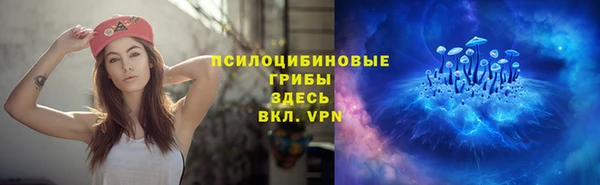 трава Арсеньев