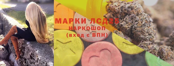 трава Арсеньев