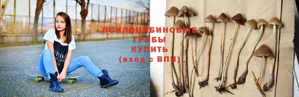 трава Армянск