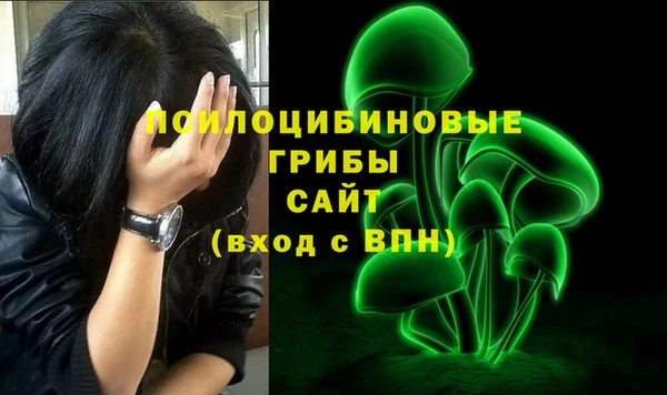 трава Армянск
