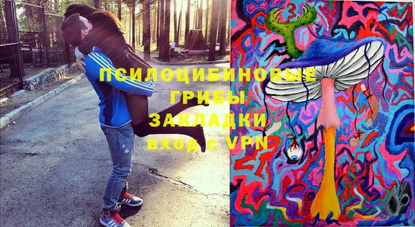 трава Арсеньев