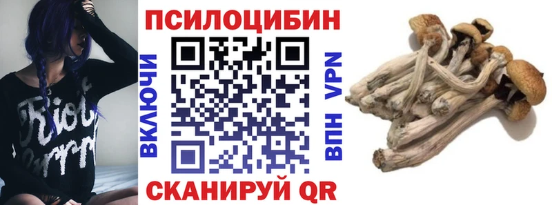 Псилоцибиновые грибы Psilocybine cubensis  где продают наркотики  Новопавловск 