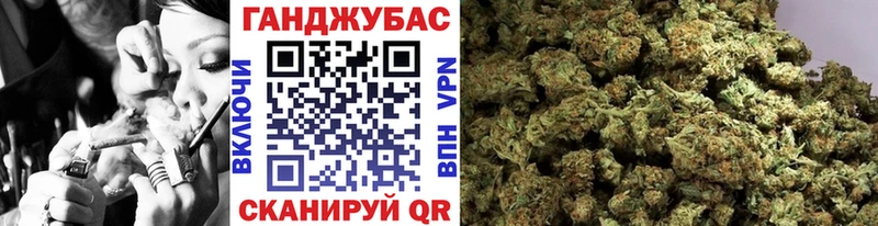 что такое наркотик  Новопавловск  darknet формула  Каннабис план 